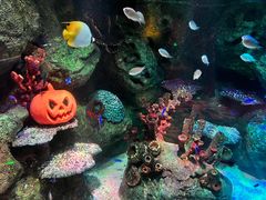 -沈阳海洋探索中心