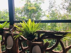 -呀诺达热带雨林