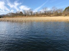 -九曲溪竹筏码头