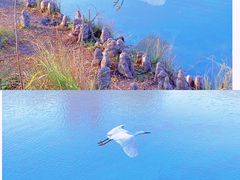 -上海辰山植物园