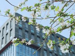 -四川大学(华西校区)