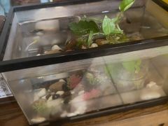 -竹雀古法采耳(青岛麦凯乐店)