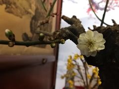-听鹂馆饭庄(颐和园店)