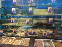-小船渔村•大连菜•大连焖鱼(明泽街店)