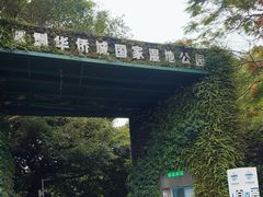 -华侨城湿地公园