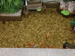 -松坂屋日料自助(长城路店)