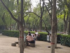 -莲湖公园