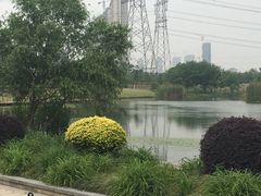 -九里河湿地公园
