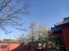 -百脉泉景区