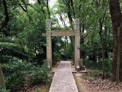 -上海佘山国家森林公园天马山园