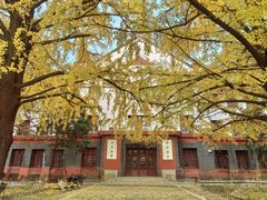 -四川大学(望江校区)