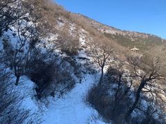 -香山公园
