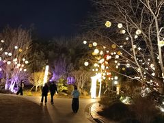 -凤城河风景区
