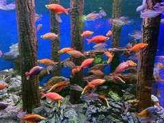 -威海华夏城景区