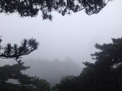 iphone_upload_pic-天柱山风景区