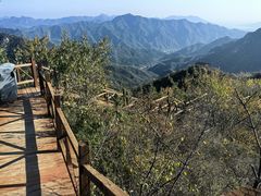 -大岭沟猕猴桃谷风景区