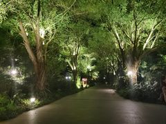 -龙山酒店温泉