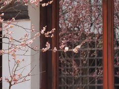 -苏州上方山国家森林公园