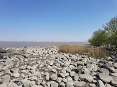-上海吴淞炮台湾国家湿地公园