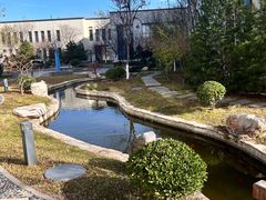 -北京国家会计学院