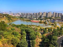 -飞凤山奥体公园
