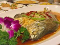 -青瓦餐厅·生鱼片·韩园烤肉(西塔店)