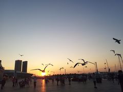 -东港音乐喷泉广场