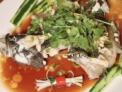 -红棉中餐厅·广州海航威斯汀酒店