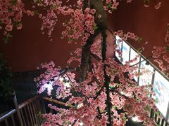 -京都小酒馆(悦城店)