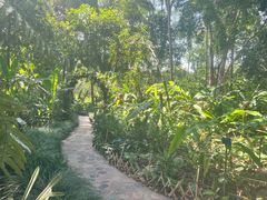 -中国科学院西双版纳热带植物园