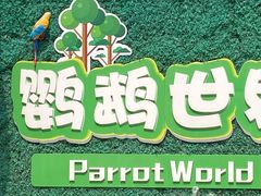 -沈阳鸟岛