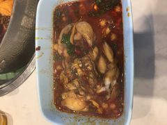 超级无敌现杀牛蛙-蛙两只美蛙鱼头火锅(恒茂店)