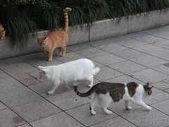-人民广场