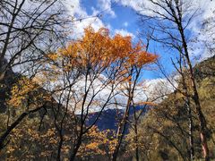 -叠溪松坪沟景区