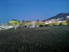 -青岛大学(金家岭校区)