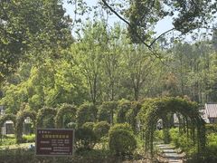 -青龙山国家森林公园