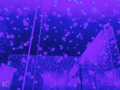 -味见·雪月花(天富路店)