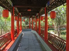 -南汇桃花村