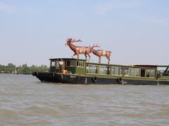 -溱湖国家湿地公园