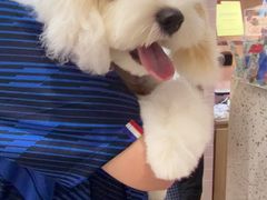 -FAELING PETS美天灵宠物(富力广场店)