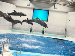 -鹿儿岛水族馆