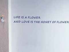 -Blue Concept Cafe&Farm·關於藍