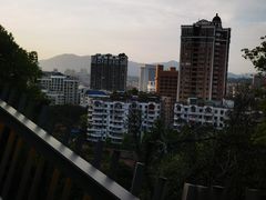 -福道