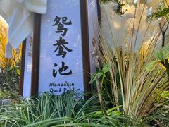 -杭州第一世界大酒店·云曼温泉