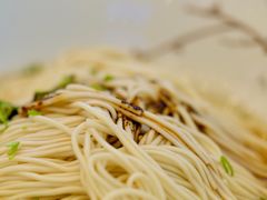 -朱洪元苏式面馆(绿宝广场店)