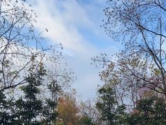 -塔川景区