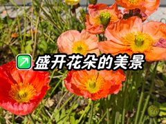 -四川大学(望江校区)