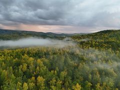 -莫尔道嘎国家森林公园