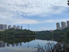 -重庆彩云湖湿地公园