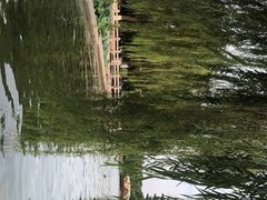 -济南大明湖景区